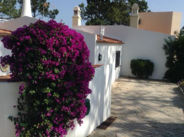 Casa Nicho Vila Vale do Lobo Exterior foto